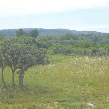 Plein Soleil 39